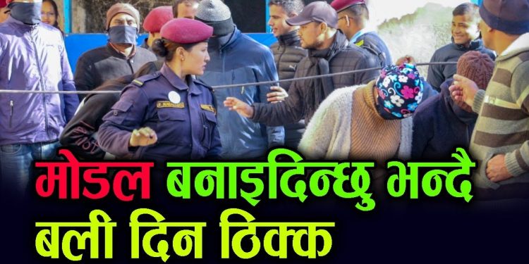 मोडल बनाइदिन्छु भन्दै बलि दिन ठिक्क || भिडियो सहित | नेपाल प्र हरीलाई ठुलो सफलता