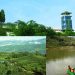 एक पट घुम्नैपर्ने ठाउँ इलाम