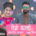 मौलिक गीत संगितका खानि रामजी बुढाथोकीको “तिम्रो झल्को मेटिन्न कुनैले” बजारमा
