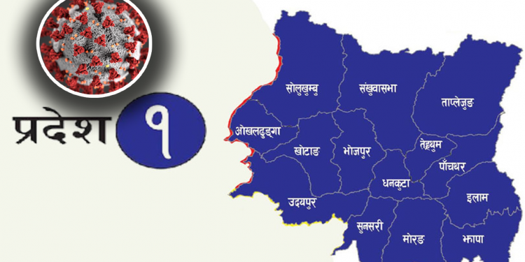 प्रदेश १ मा ४३९ संक्रमित थपिए