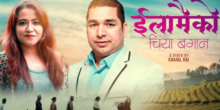 इलामैको चिया बगानमा जंग र नग्मा श्रेष्ठको रोमान्स