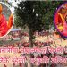 महाशिवरात्रीमा नेपालगन्ज राझाँ एअरपोर्ट नजिकै रहेको पशुपति मन्दिर क्षेत्र ? भिडियो सहित